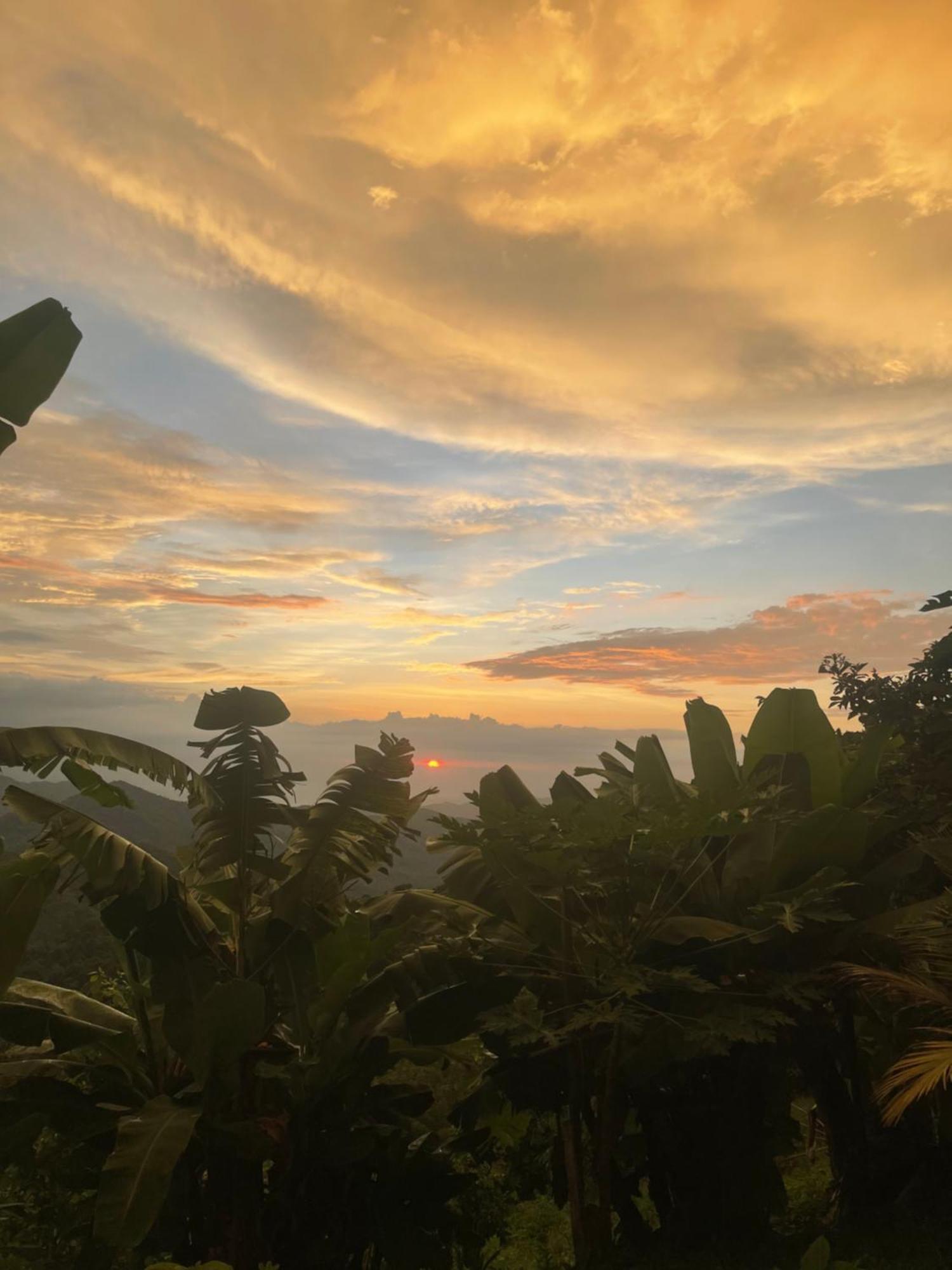 Sunset Serenata مينسا المظهر الخارجي الصورة